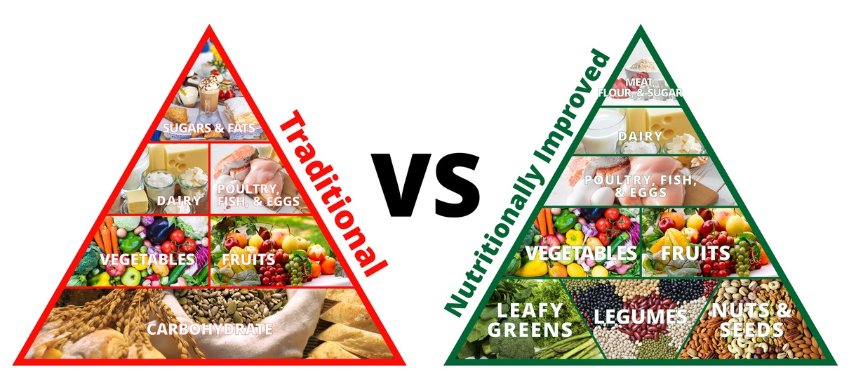 Food pyramid 2023 vs traditional